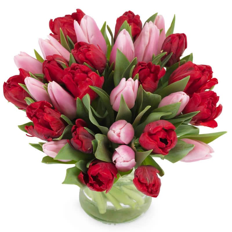 Tulpen voor mijn liefste