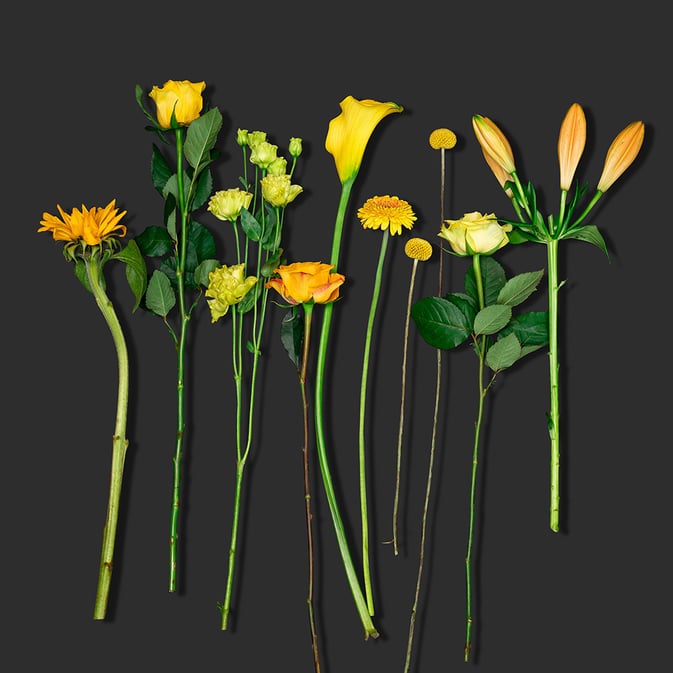 Surprise Yellow Bouquet