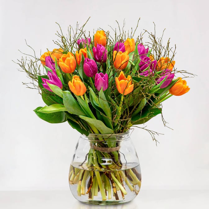 Cheerful tulips
