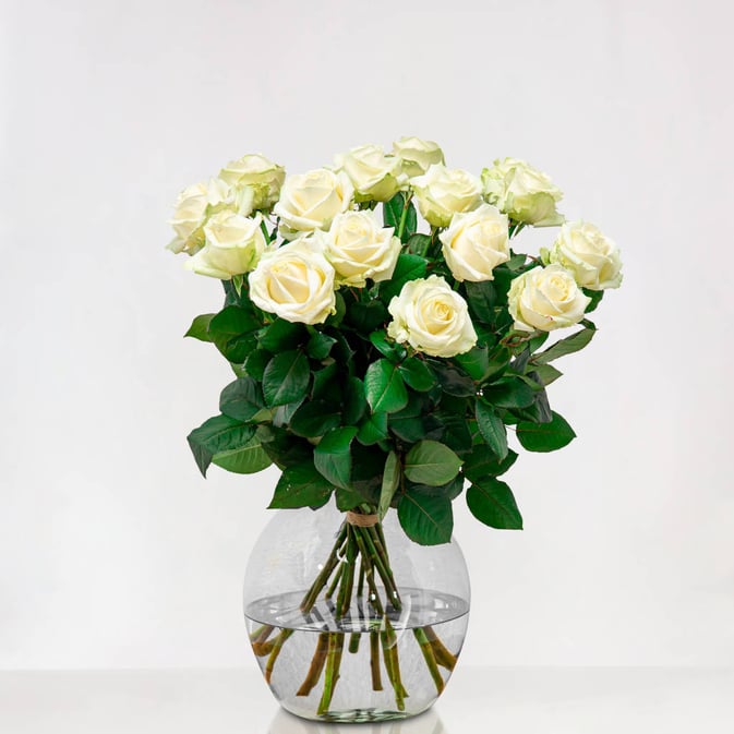 Lange witte rozen met grote knop