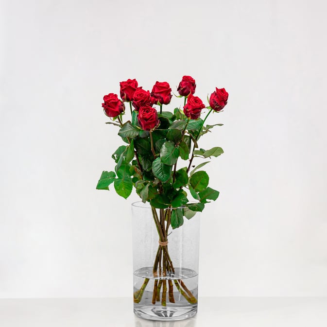 Red roses with large bud