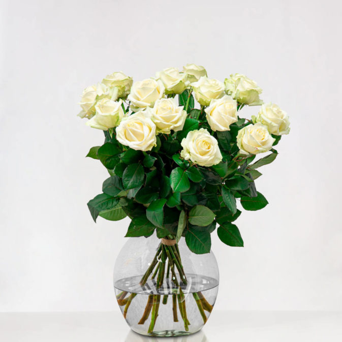 Long White Roses With Large Button
